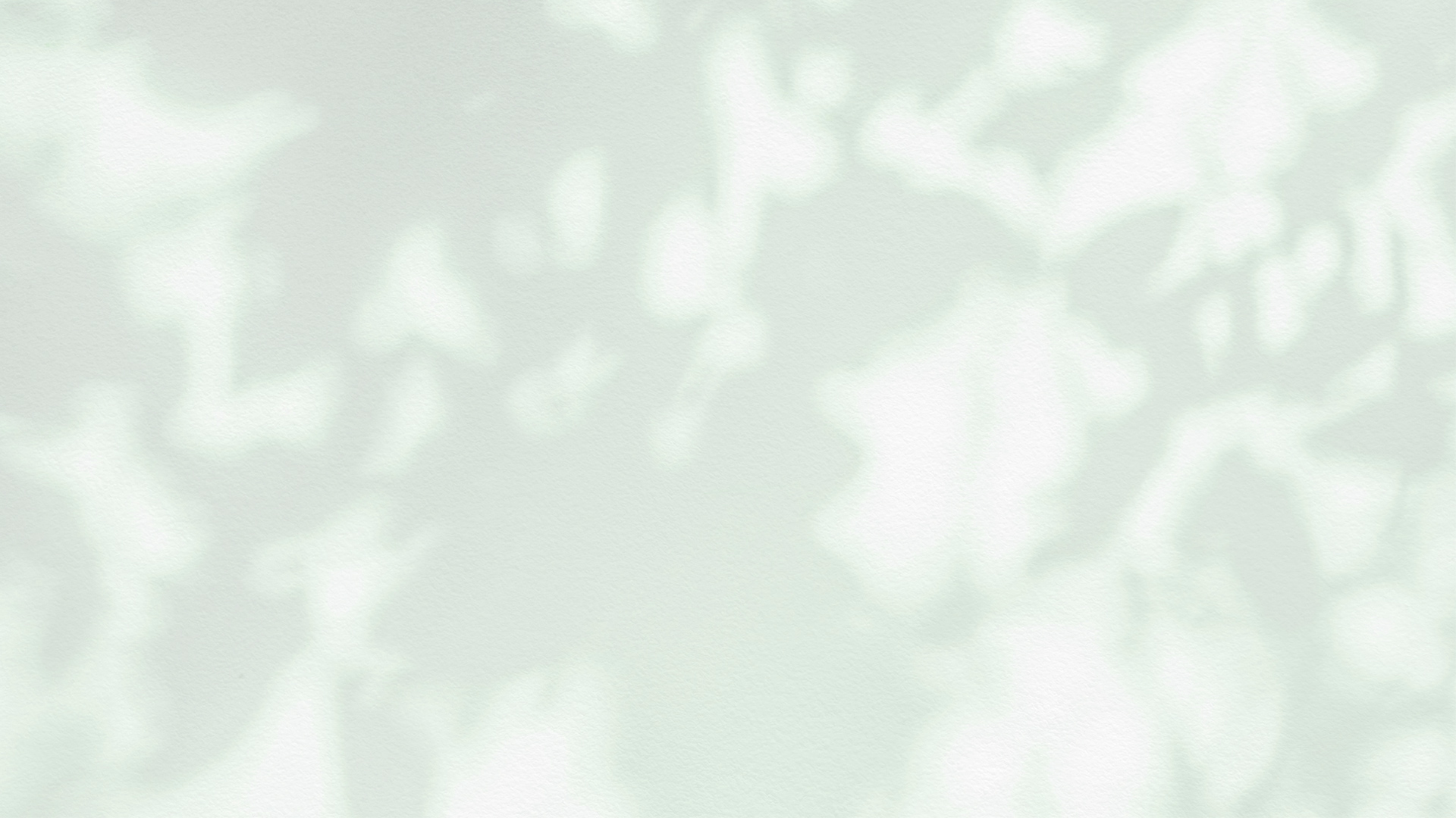 コンセプト